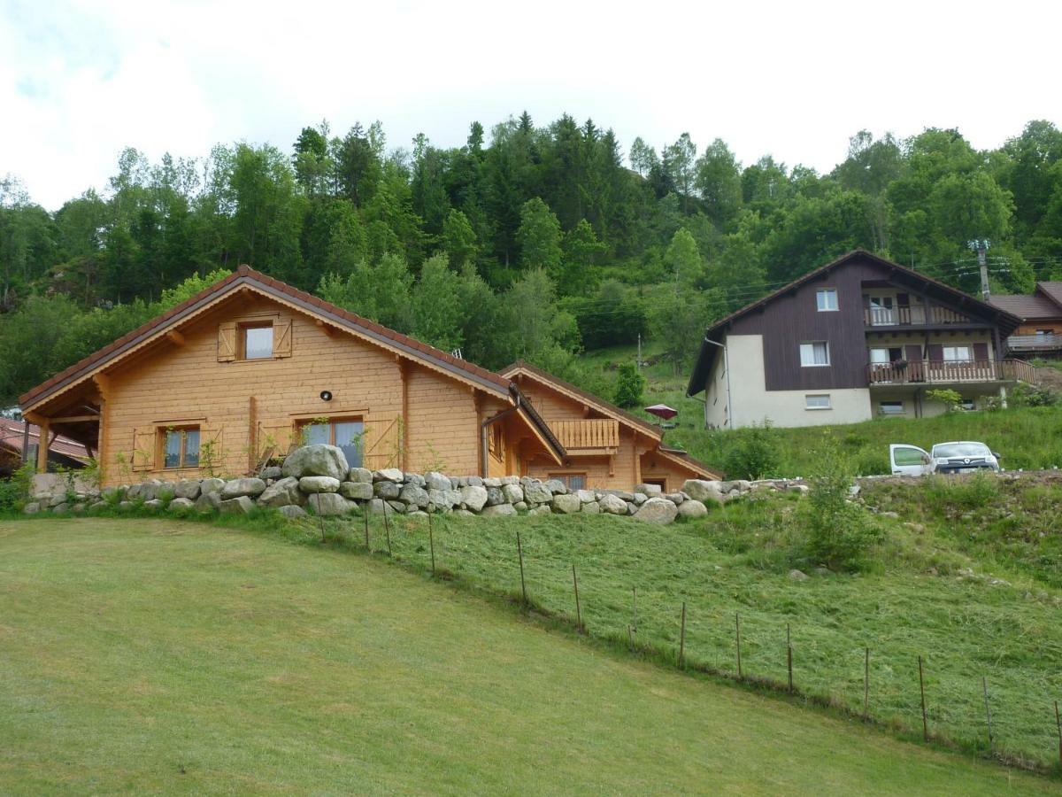 Villa Le Planot à La Bresse Extérieur photo